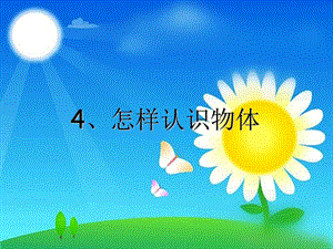 青岛版小学科学《怎样认识物体》PPT.ppt