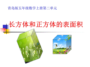 青岛版小学五年级数学上册第二单元《长方体和正方体的表面积》.ppt