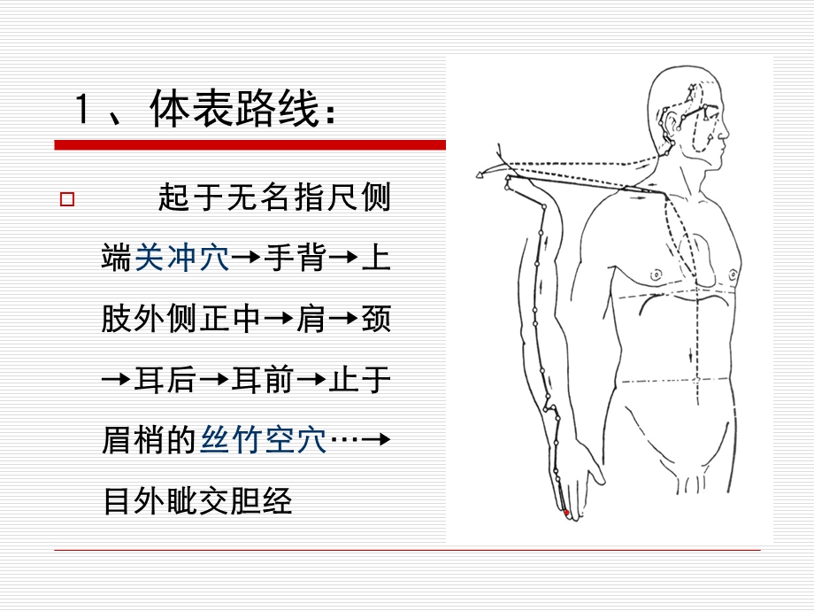 针灸学十二经脉之三焦经.ppt_第3页