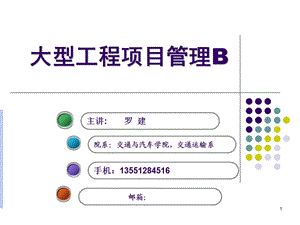 项目组织与项目启动.ppt