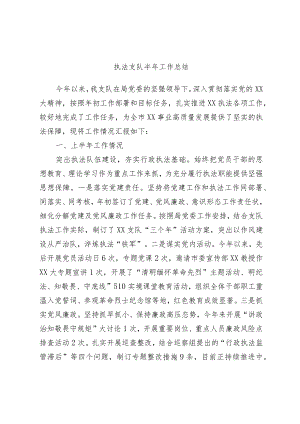 执法支队半年工作总结.docx