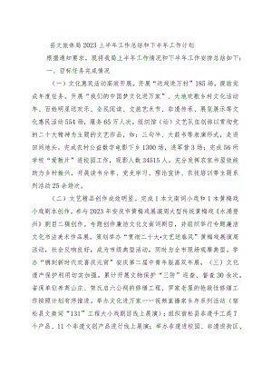 县文旅体局2023上半年工作总结和下半年工作计划.docx