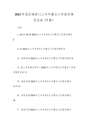 （6篇）2023年县区域部门上半年重点工作落实情况总结.docx