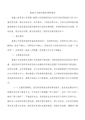 集团公司组织建设调研报告.docx