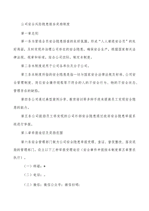 公司安全风险隐患报告奖励制度.docx