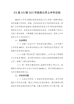 XX县XX镇2023年政务公开上半年总结（20230629）.docx