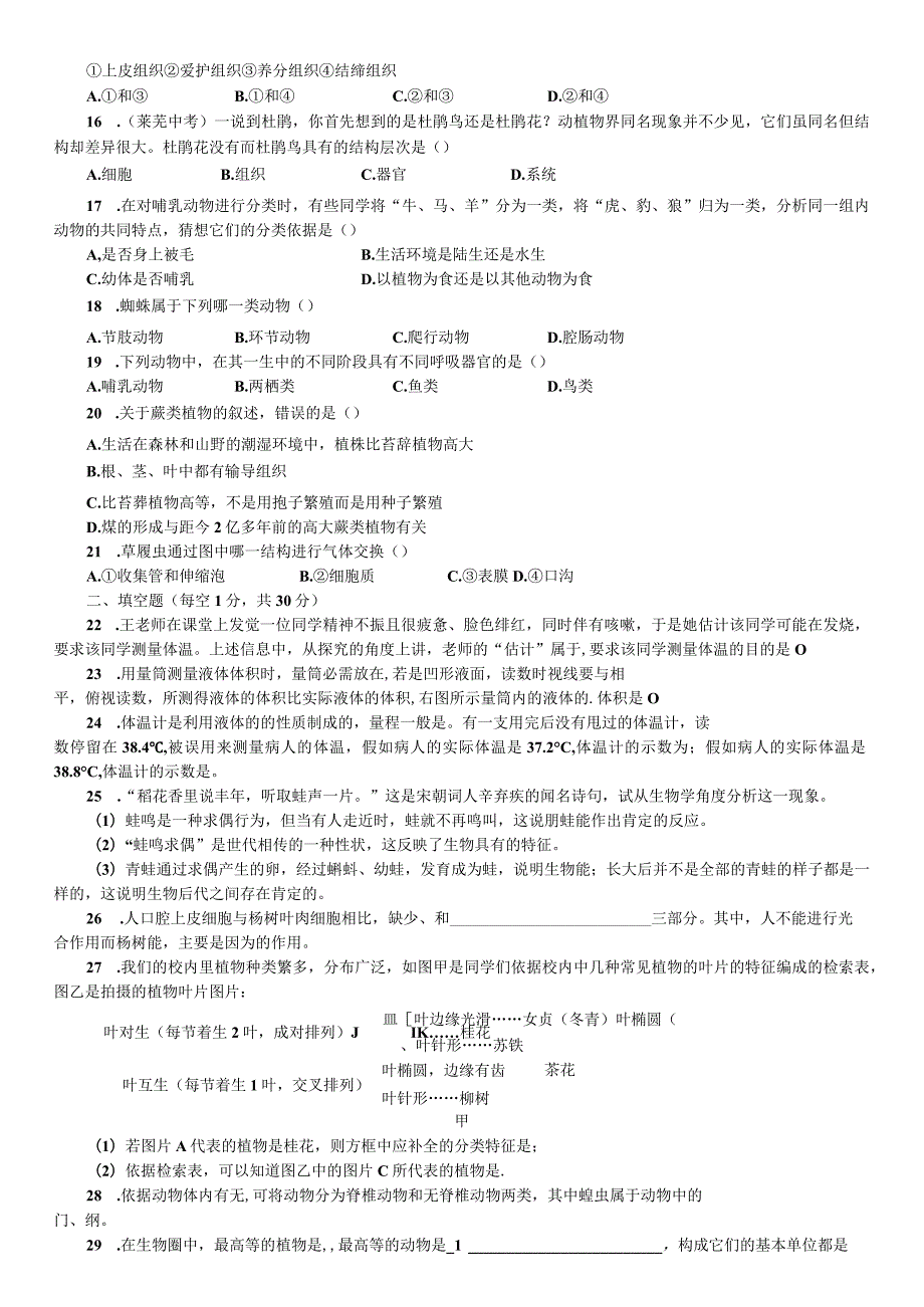 2023年秋七年级科学上册浙教版习题：期中测试.docx_第3页