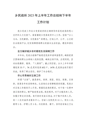 乡民政所2023年上半年工作总结和下半年工作计划（20230629）.docx