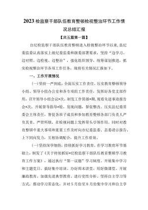 （5篇）2023检监察干部队伍教育整顿检视整治环节工作情况总结汇报.docx