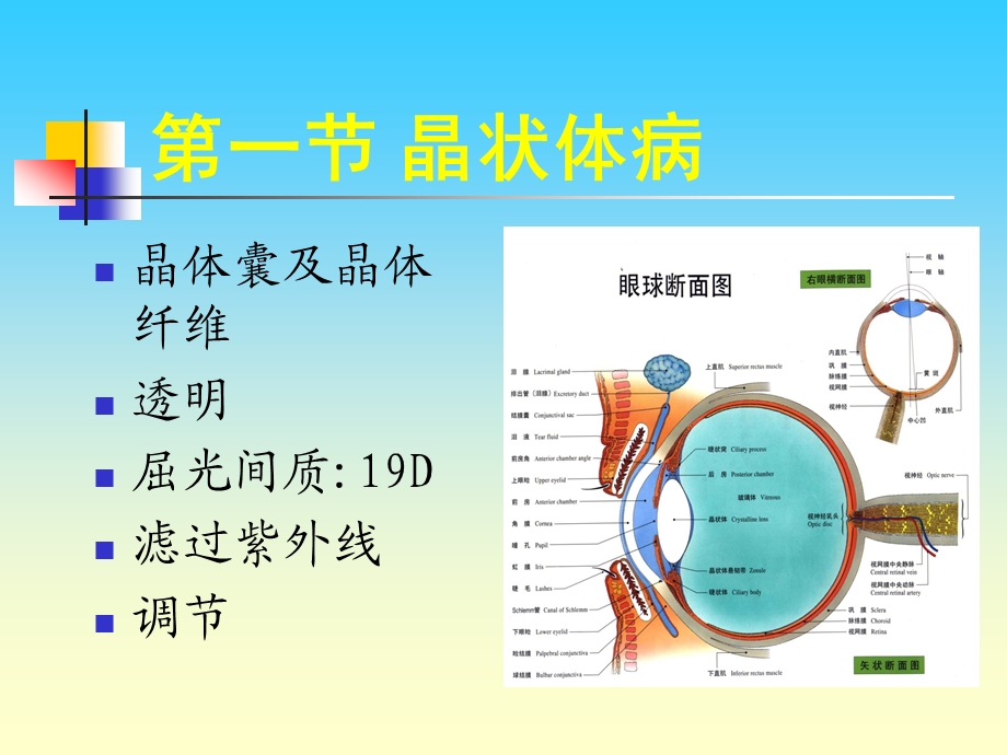 晶状体玻璃体病 ppt课件.ppt_第2页