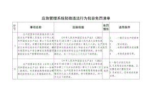 应急管理系统轻微违法行为包容免罚清单.docx