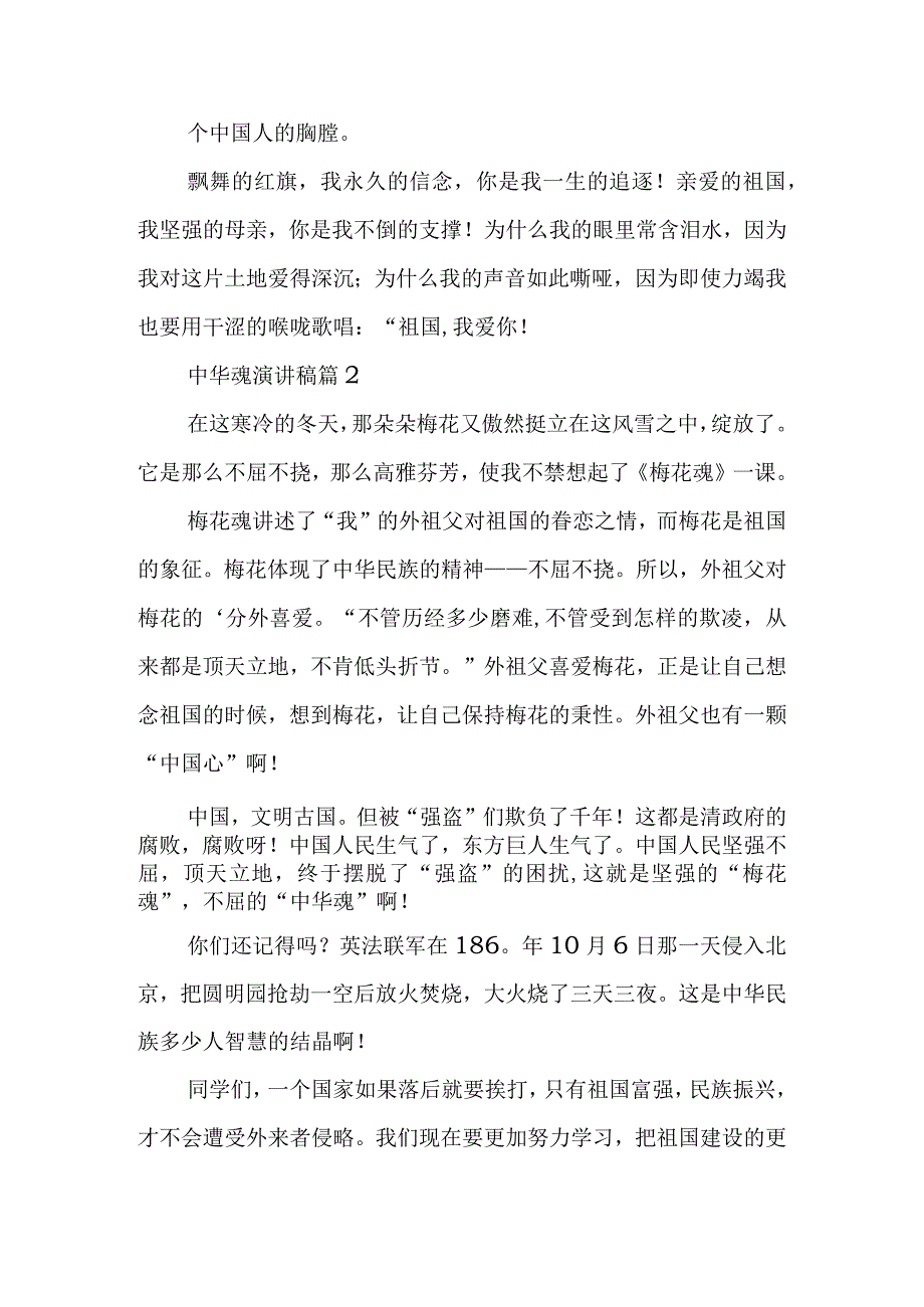 2023年整理-中华魂演讲稿范文锦集5篇2.docx_第3页