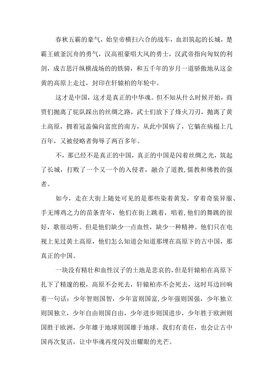 2023年整理-中华魂演讲稿范文集合5篇1.docx_第2页