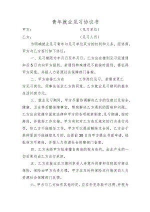 青年就业见习协议书.docx