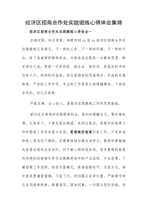 经济区招商合作处实践锻炼心得体会集锦.docx