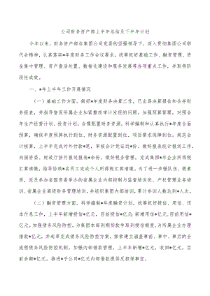 公司财务资产部上半年总结及下半年计划.docx