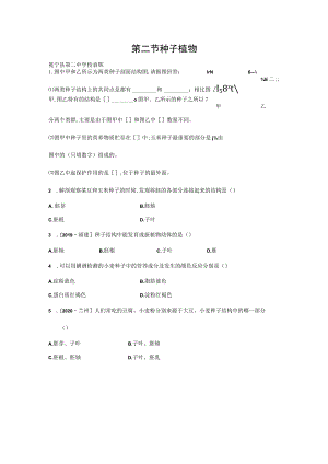 第二节种子植物冕宁县第二中学校袁辉.docx