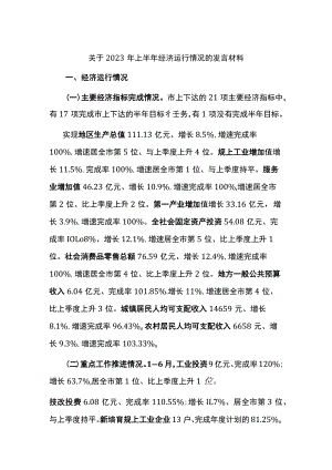 关于2023年上半年经济运行情况的发言材料.docx