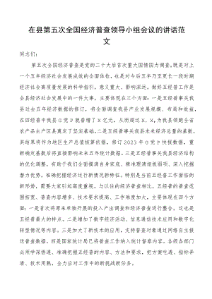 全县第五次全国经济普查领导小组工作会议讲话.docx