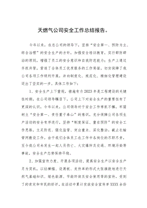 餐饮场所燃气安全专项治理工作总结十一篇.docx