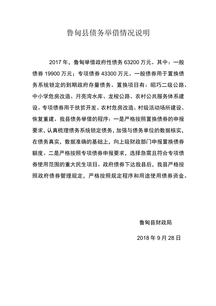 鲁甸县债务举借情况说明.docx_第1页