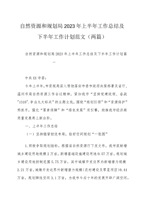 自然资源和规划局2023年上半年工作总结及下半年工作计划范文（两篇）.docx