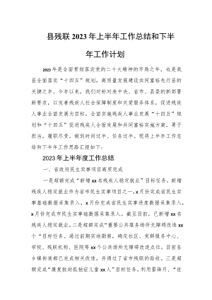 县残联2023年上半年工作总结和下半年工作计划.docx