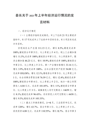 县长关于2023年上半年经济运行情况的发言材料.docx