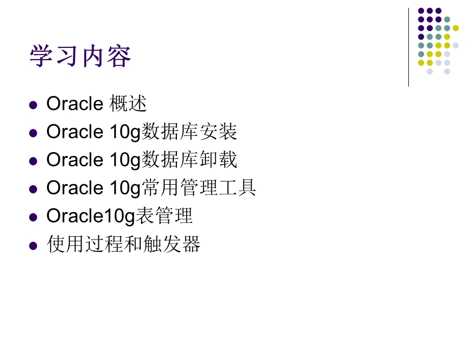 Oracle10g数据库管理系统.ppt_第2页