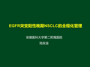 EGFR突变阳性的晚期NSCLC治疗全程化管理.ppt