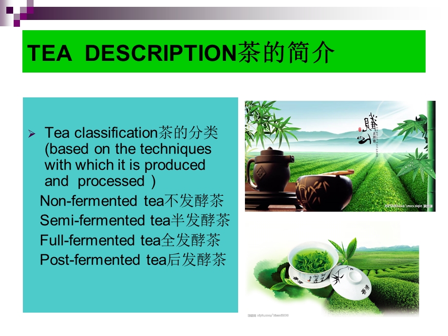 EADESCRIPTION茶类概述.ppt_第3页