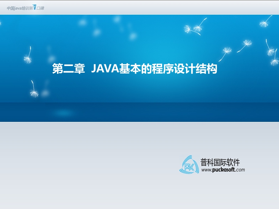 Java程序设计结构).ppt_第1页