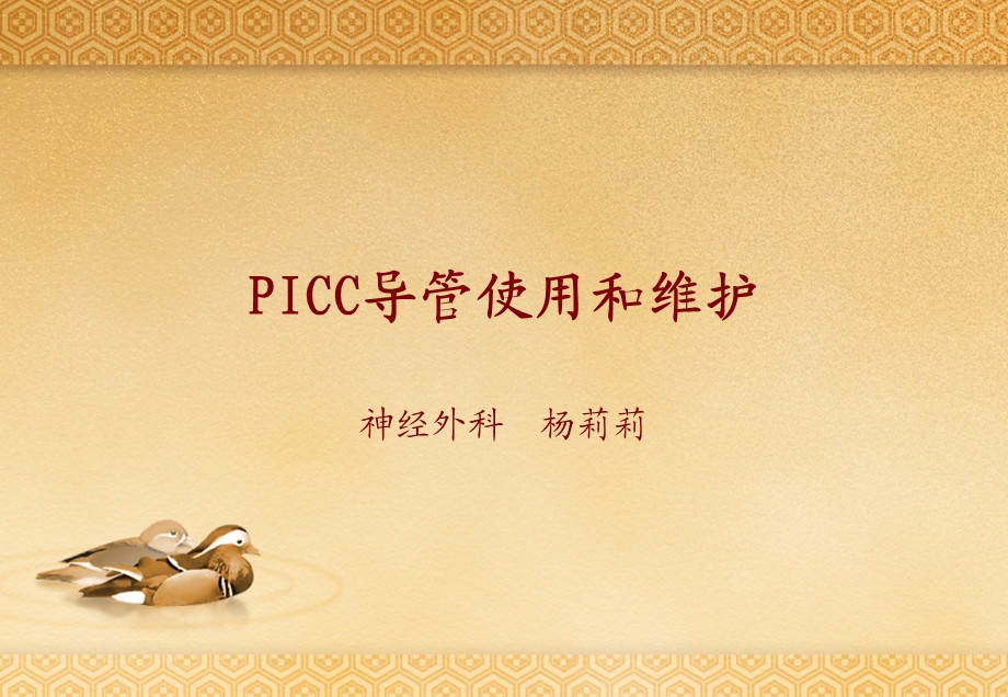 ICC导管使用和维护.ppt_第1页