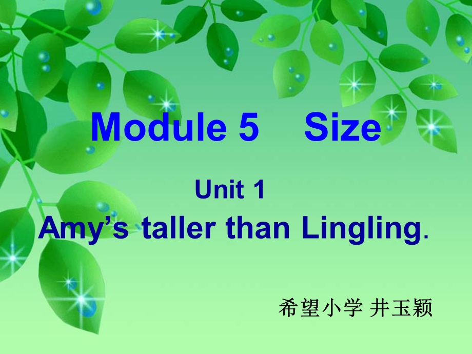 Module5Size井玉颖.ppt_第1页