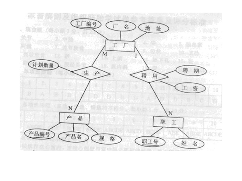 ER图练习(带答案).ppt_第2页