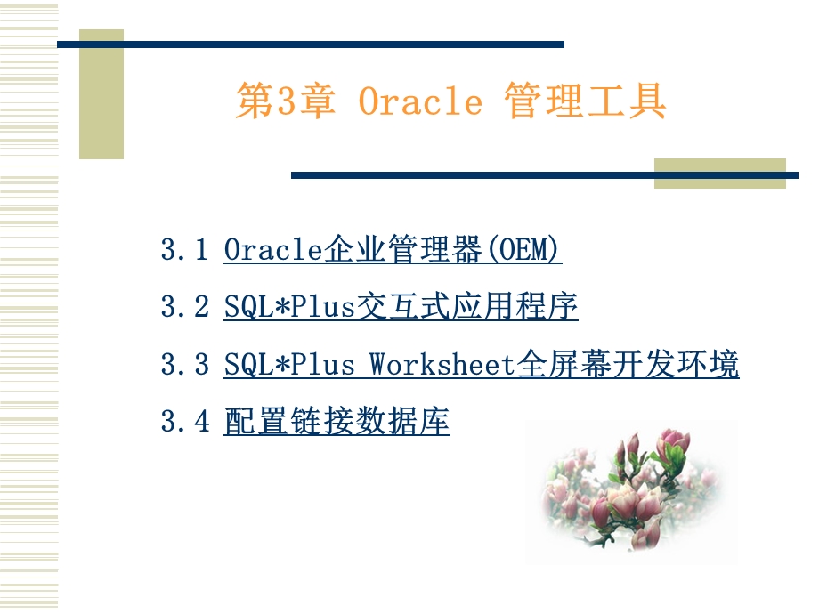 Oracle常用的管理工具.ppt_第1页