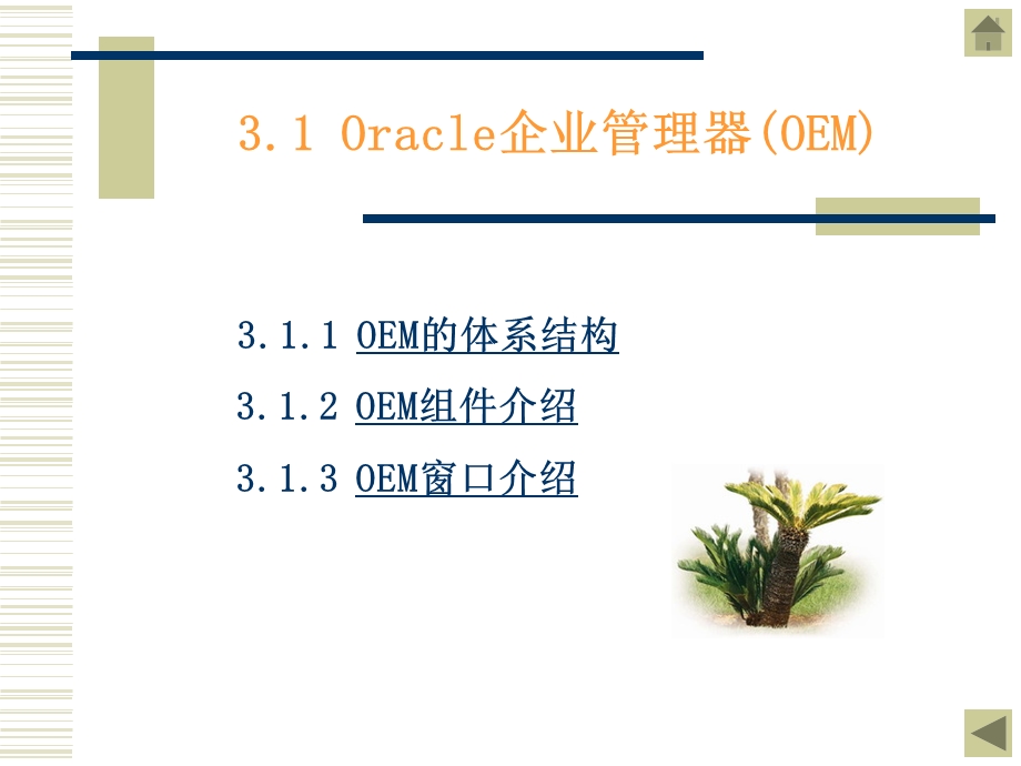 Oracle常用的管理工具.ppt_第2页