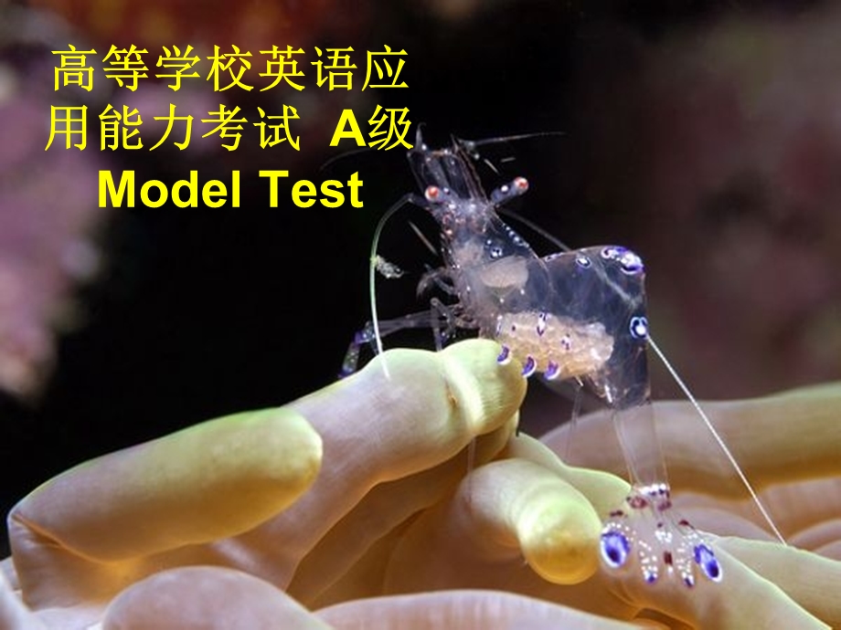 modeltest3高等学校英语应用能力考试A.ppt_第1页