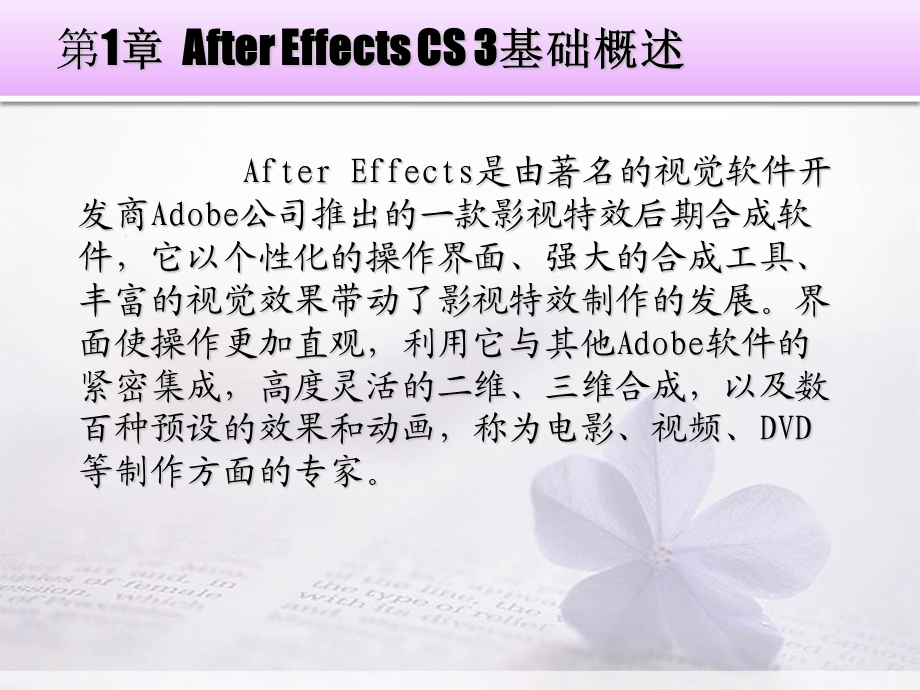 AE影视基础知识.ppt_第2页