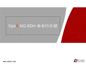 OptiXNGSDH命令行介绍.ppt