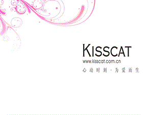 KISSCAT接吻猫推广企划书.ppt