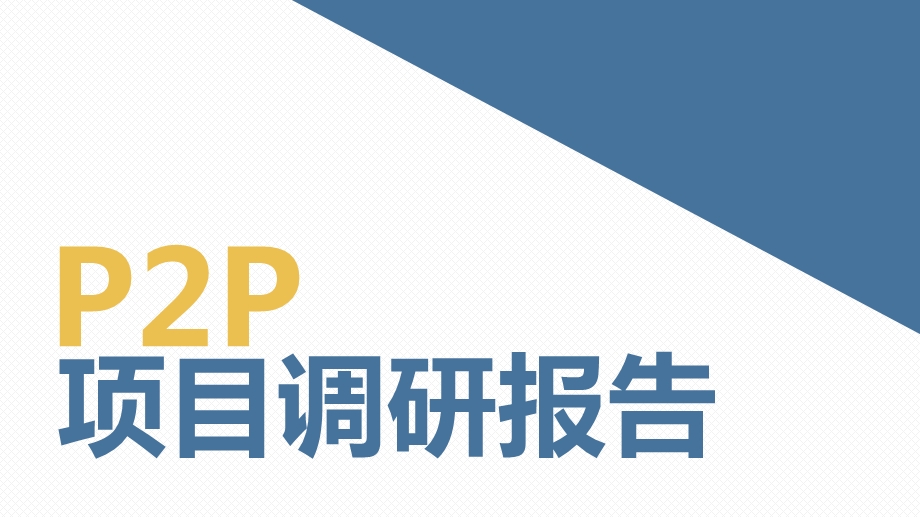 PP项目调研报告.ppt_第1页