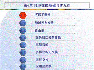 IP网与多层次交换.ppt