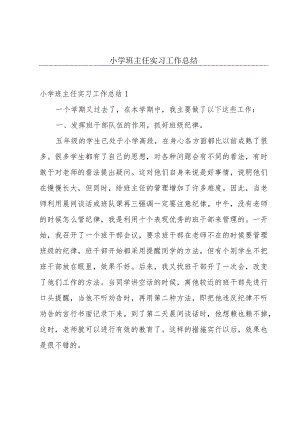 小学班主任实习工作总结.docx