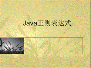 java正则表达式讲义.ppt