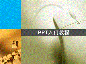 ppt入门教程(一学就会).ppt