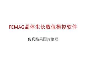 FEMAG晶体生长数值模拟软件-仿真结果.ppt