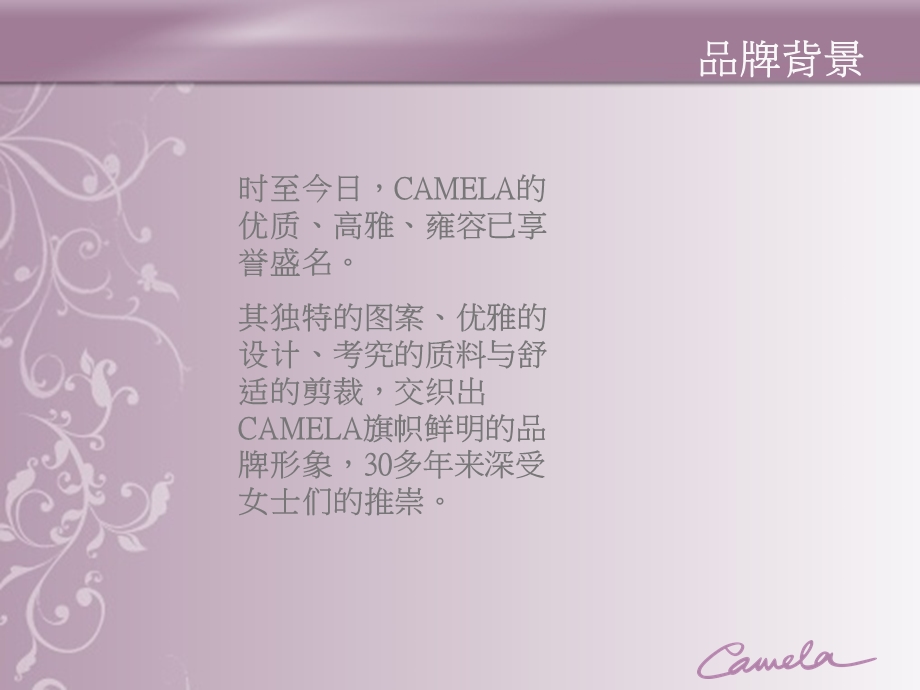 CAMELA品牌概览.ppt_第3页