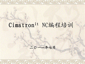 Cimatron it NC编程培训.ppt