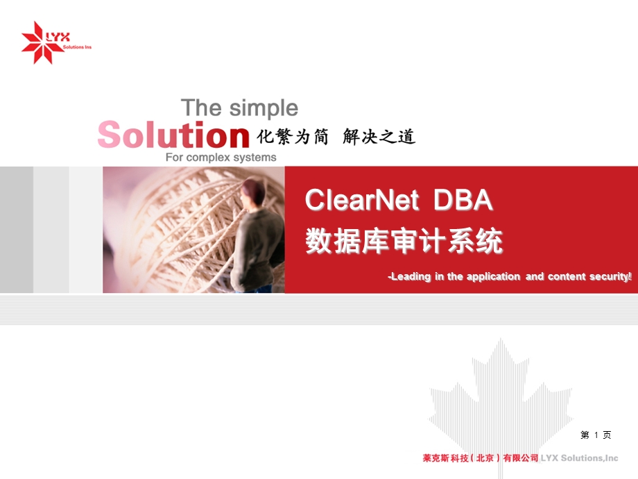 ClearNetDBA数据库安全审计系统.ppt_第1页